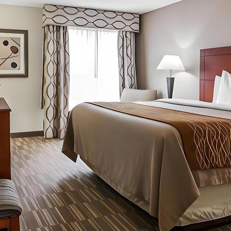 Comfort Inn & Suites University South Ann Arbor Kültér fotó