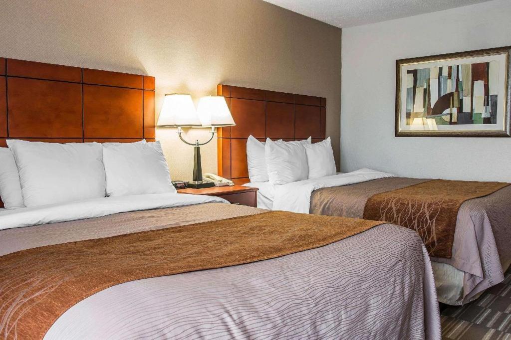 Comfort Inn & Suites University South Ann Arbor Kültér fotó