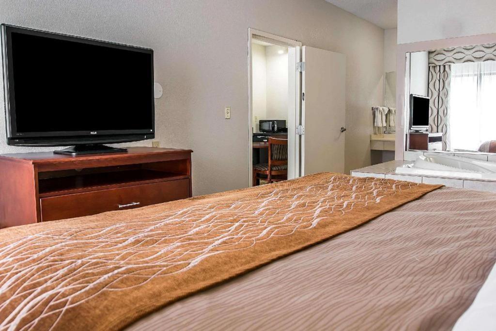 Comfort Inn & Suites University South Ann Arbor Kültér fotó