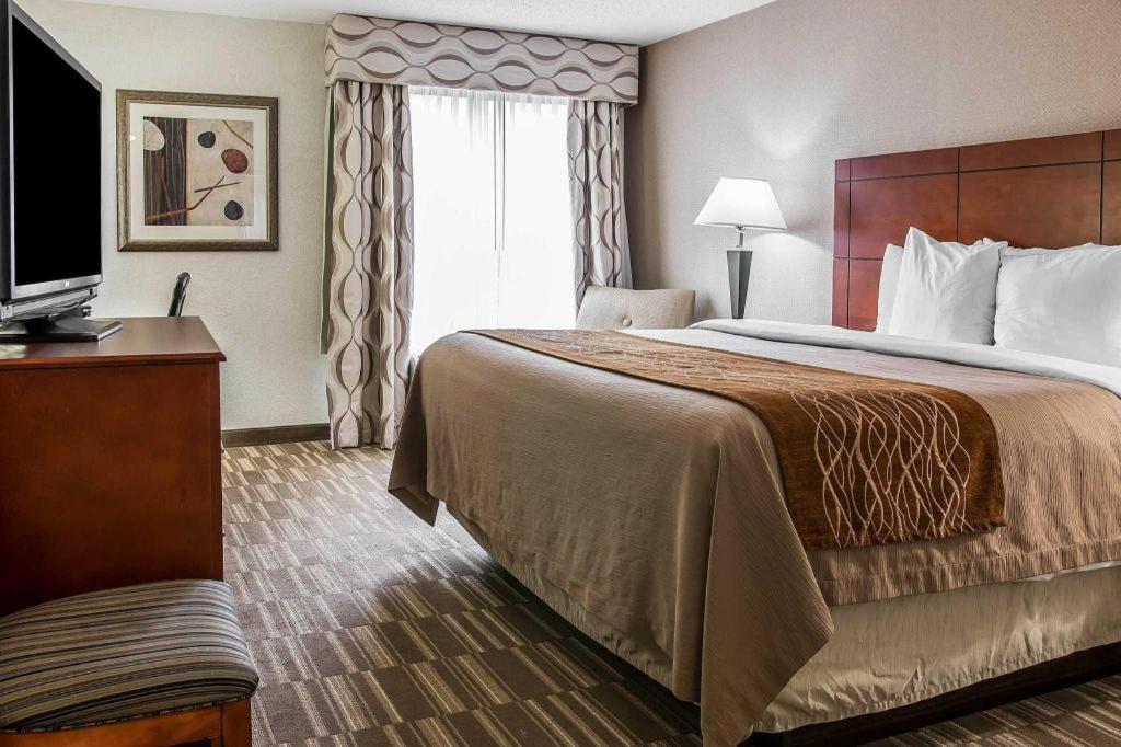 Comfort Inn & Suites University South Ann Arbor Kültér fotó