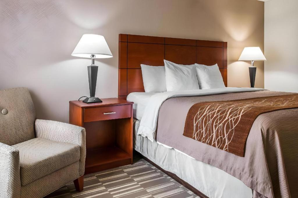 Comfort Inn & Suites University South Ann Arbor Kültér fotó