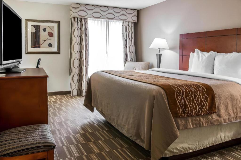 Comfort Inn & Suites University South Ann Arbor Kültér fotó