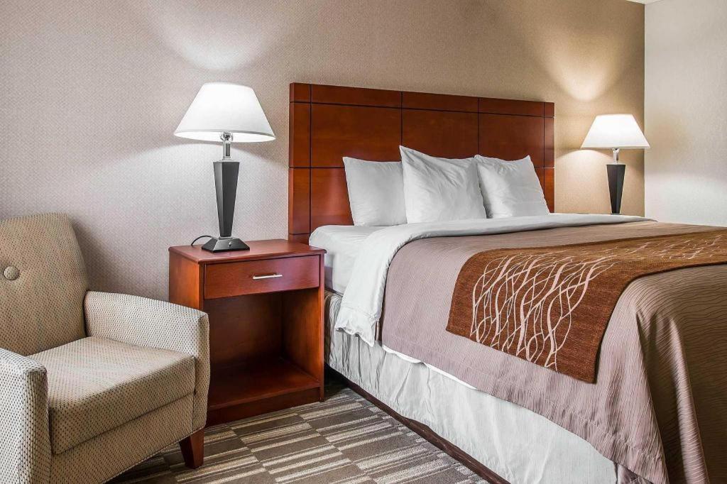 Comfort Inn & Suites University South Ann Arbor Kültér fotó