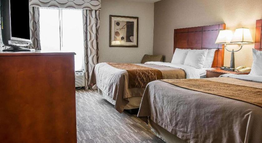 Comfort Inn & Suites University South Ann Arbor Kültér fotó