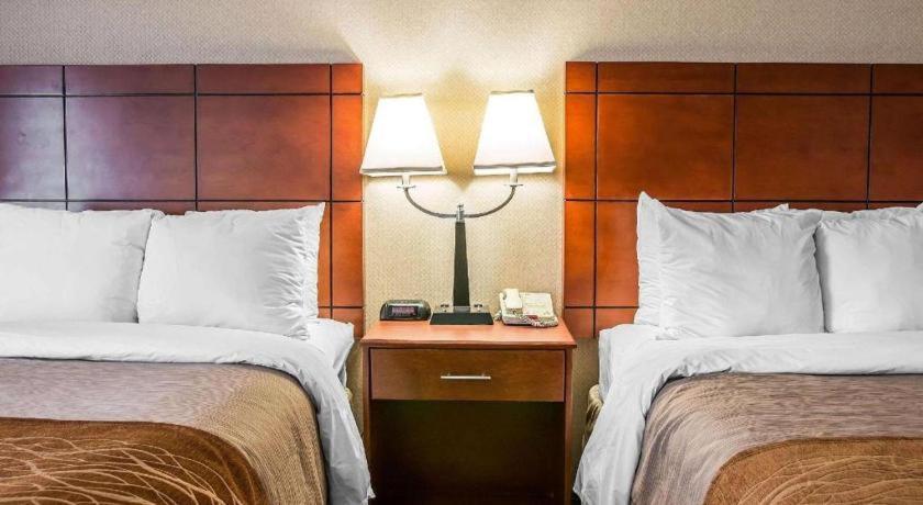 Comfort Inn & Suites University South Ann Arbor Kültér fotó