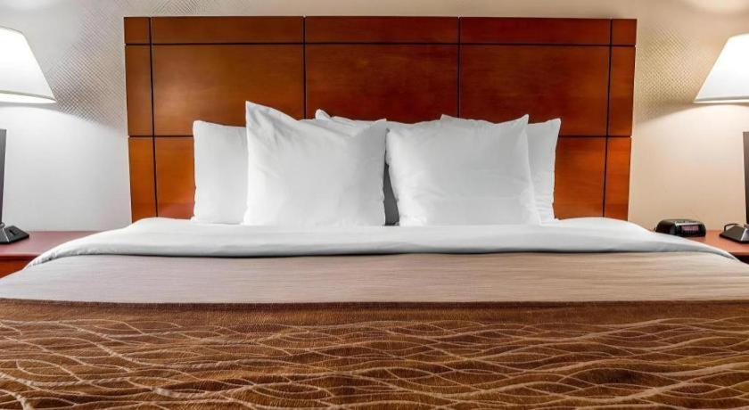Comfort Inn & Suites University South Ann Arbor Kültér fotó