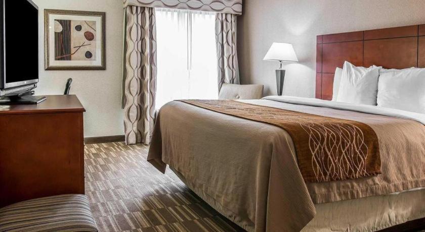 Comfort Inn & Suites University South Ann Arbor Kültér fotó