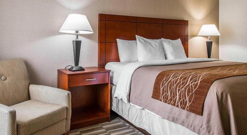 Comfort Inn & Suites University South Ann Arbor Kültér fotó