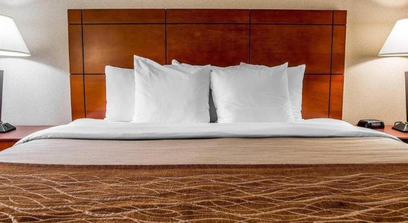 Comfort Inn & Suites University South Ann Arbor Kültér fotó